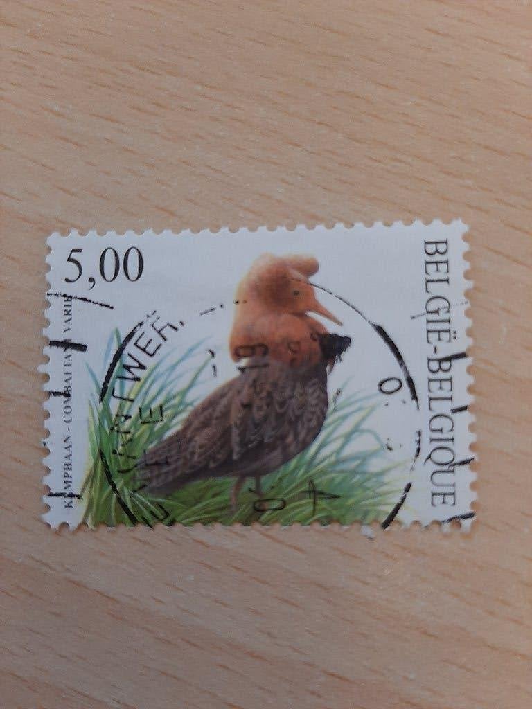 Belgie vogels Buzin kemphaan, Verzenden, Gestempeld
