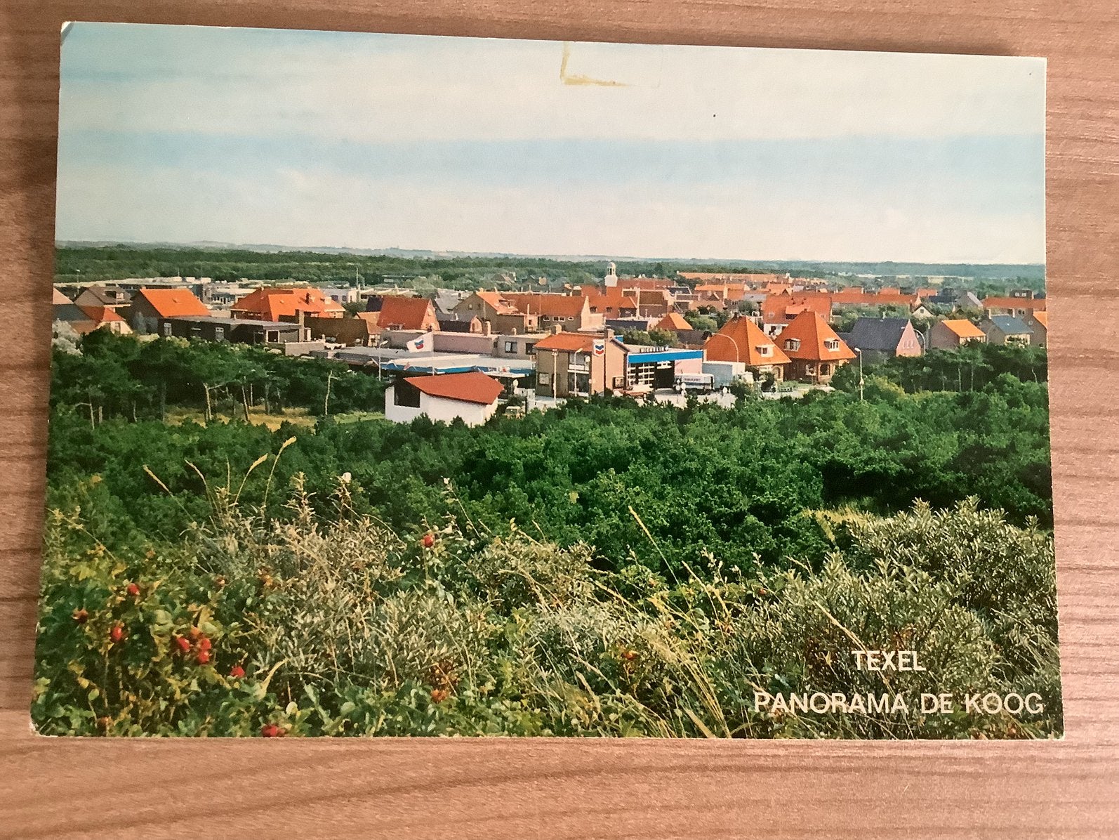 ansichtkaart Texel, Verzenden, Gelopen, Waddeneilanden