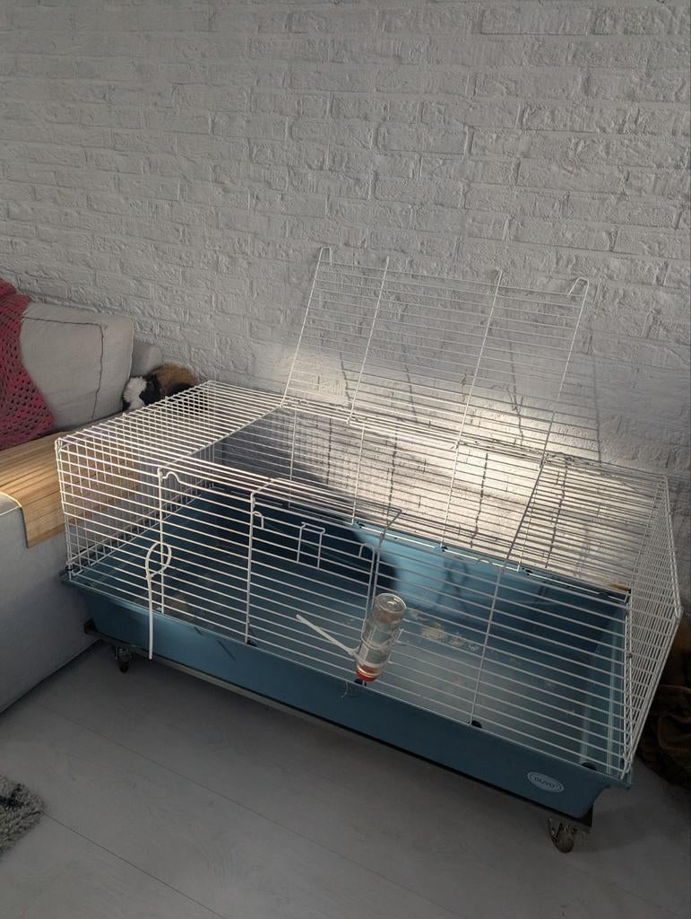 Knaagdieren hok 120cm, Ophalen