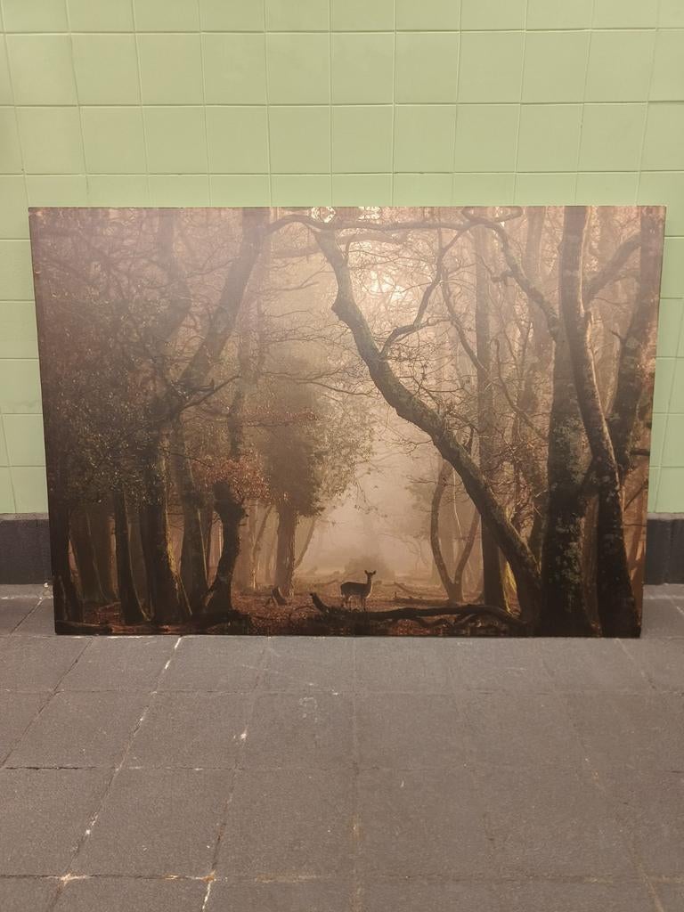 Groot Schilderij/Canvas doek Ikea 205x144 cm - Bos met hert, Huis en Inrichting, Woonaccessoires | Schilderijen, Tekeningen en Foto's