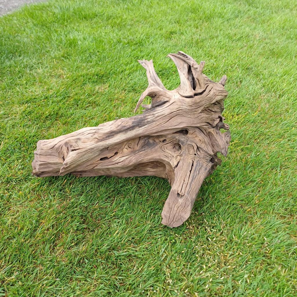 Aquariumhout. Breedte 60x40 hoogste punt, Dieren en Toebehoren, Ophalen