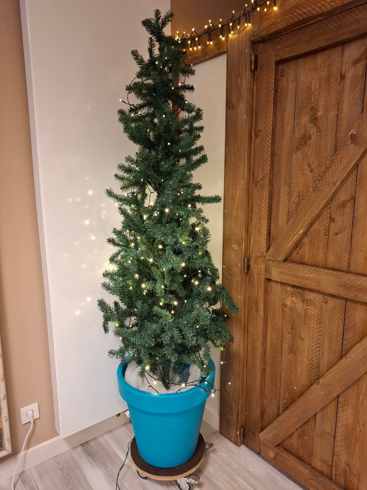 Kerstboom in pot op wieltjes, Diversen, Ophalen, Zo goed als nieuw
