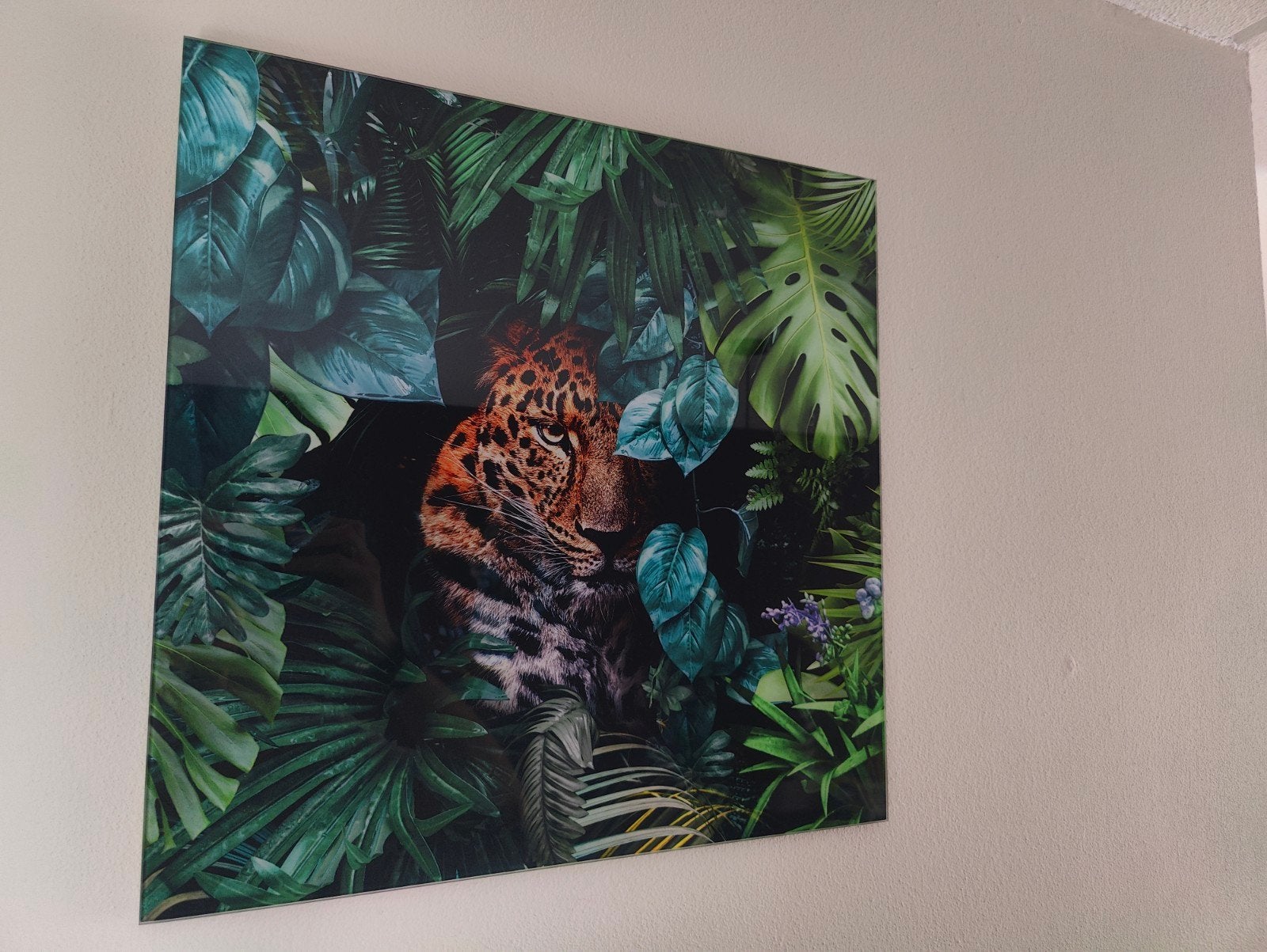 Foto op glas - Luipaard in jungle (50x50 cm), Ophalen, 50 – 75, Zo goed als nieuw, Foto of Poster