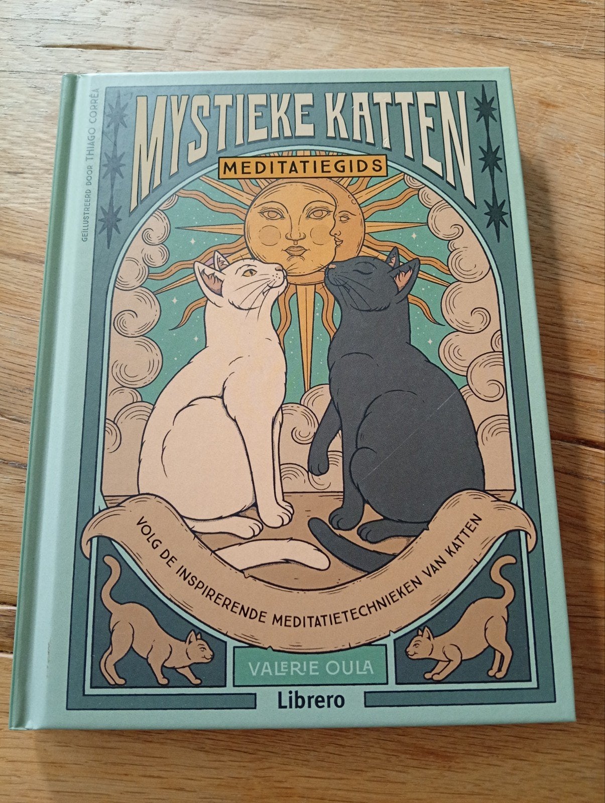 Mystieke Katten Meditatiegids - Valerie Oula, Meditatie of Yoga, Valerie Oula, Ophalen of Verzenden, Zo goed als nieuw