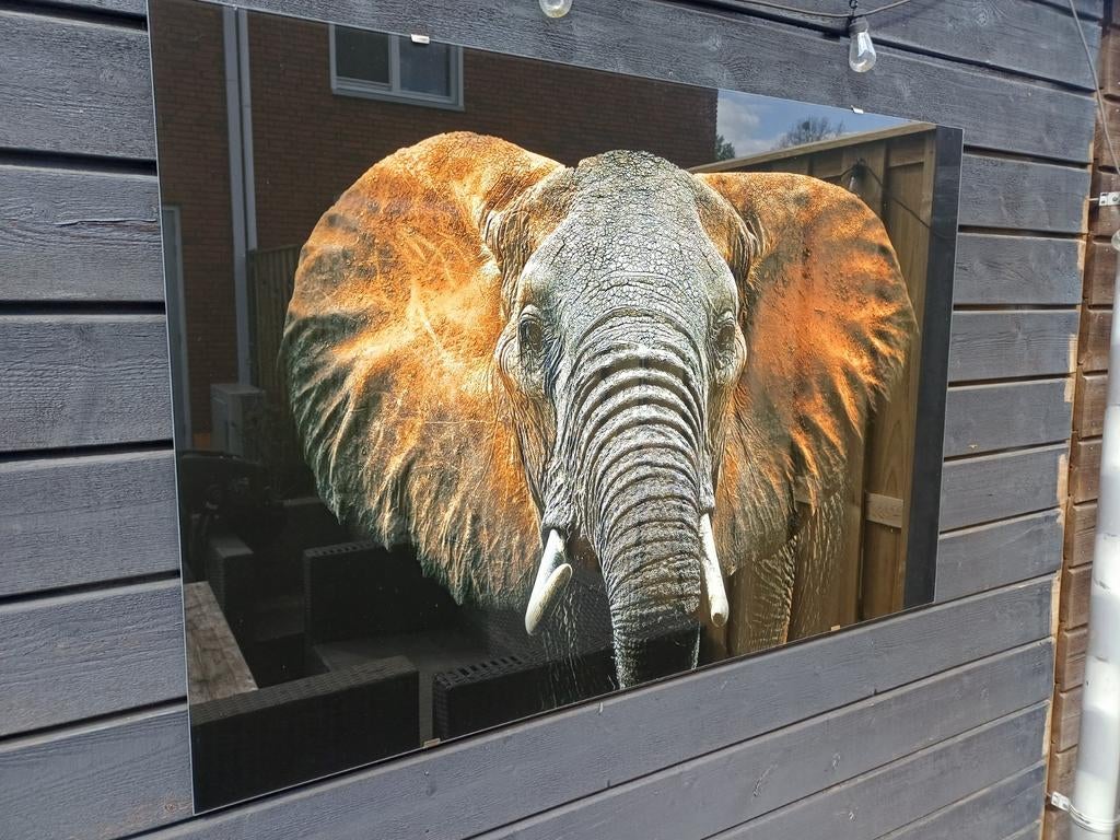 Glazen schilderij olifant, Ophalen