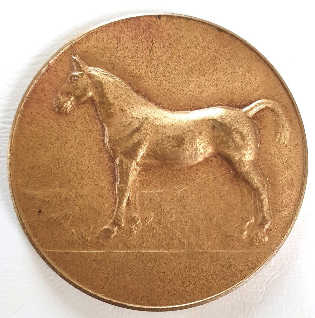 zeer mooie oude bronzen (tuig) paarden medaille, Ophalen, Brons, Nederland