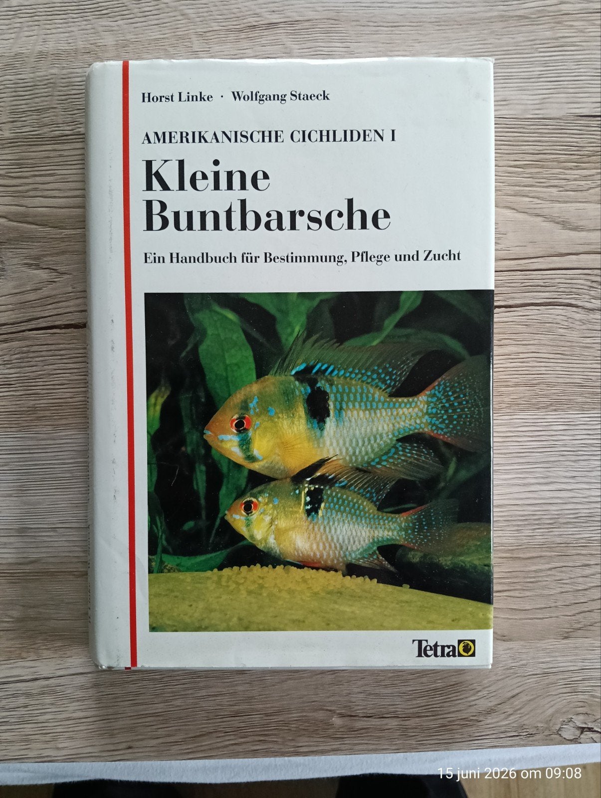 Amerikanische cichliden I.
Kleine Buntbarsche, Ophalen of Verzenden, Zo goed als nieuw, Vissen
