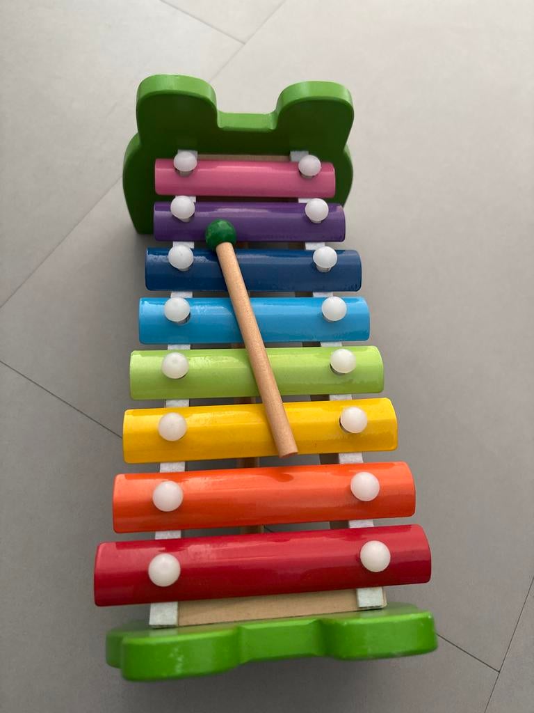 Kikker Xylofoon - Kleurrijk Muziekinstrument voor Kinderen, Ophalen of Verzenden, Gebruikt, Melodische percussie