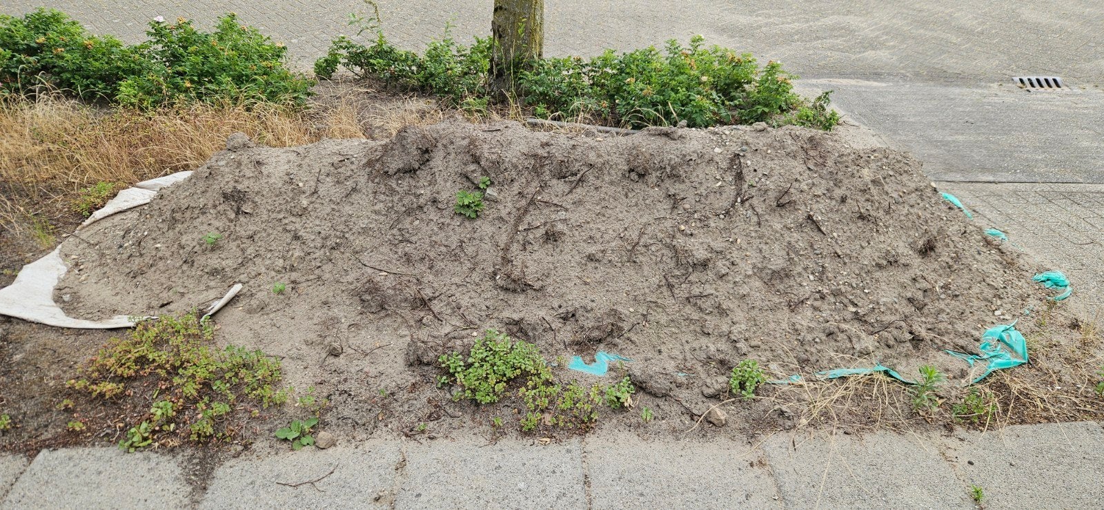 Gratis Tuinaarde ongeveer 2 kuub, Ophalen, Tuinaarde