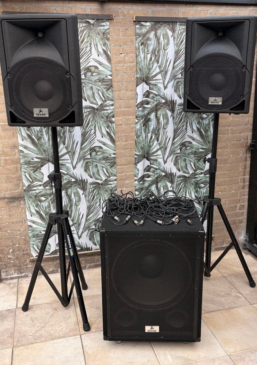DJ SPEAKER SET, Muziek en Instrumenten, Ophalen, Zo goed als nieuw, Overige merken