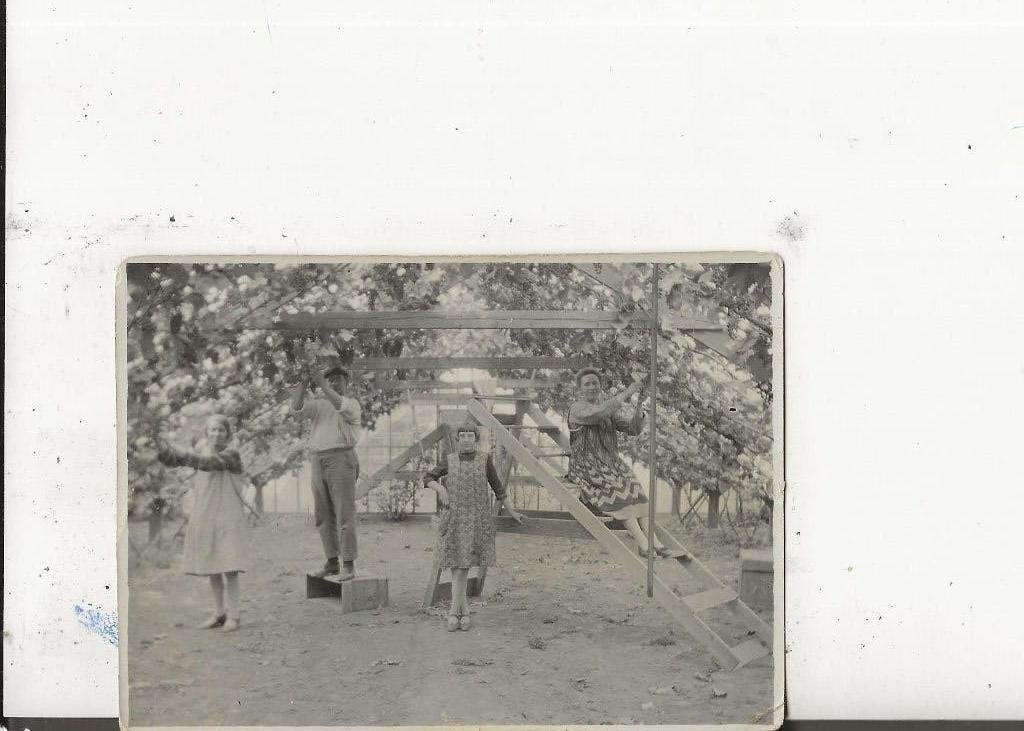 Westland Druiven krenten op trap en kist Foto 1929, Ophalen of Verzenden, 1920 tot 1940, Ongelopen, Zuid-Holland