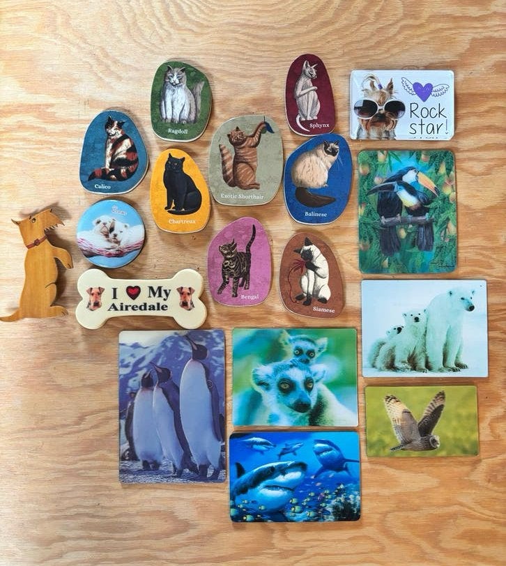 Koelkastmagneten van diverse dieren 3D etc., Ophalen of Verzenden, Gebruikt