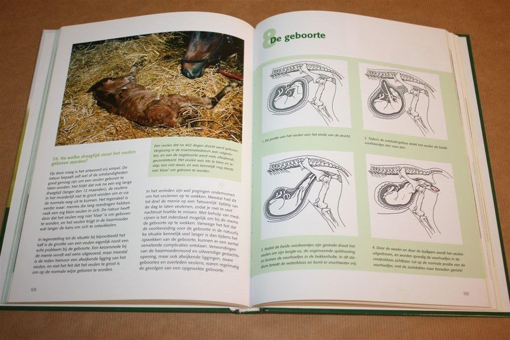 Paardenfokkerij - Dekken, dracht, geboorte, het veulen, Ophalen of Verzenden, Zo goed als nieuw, Katten
