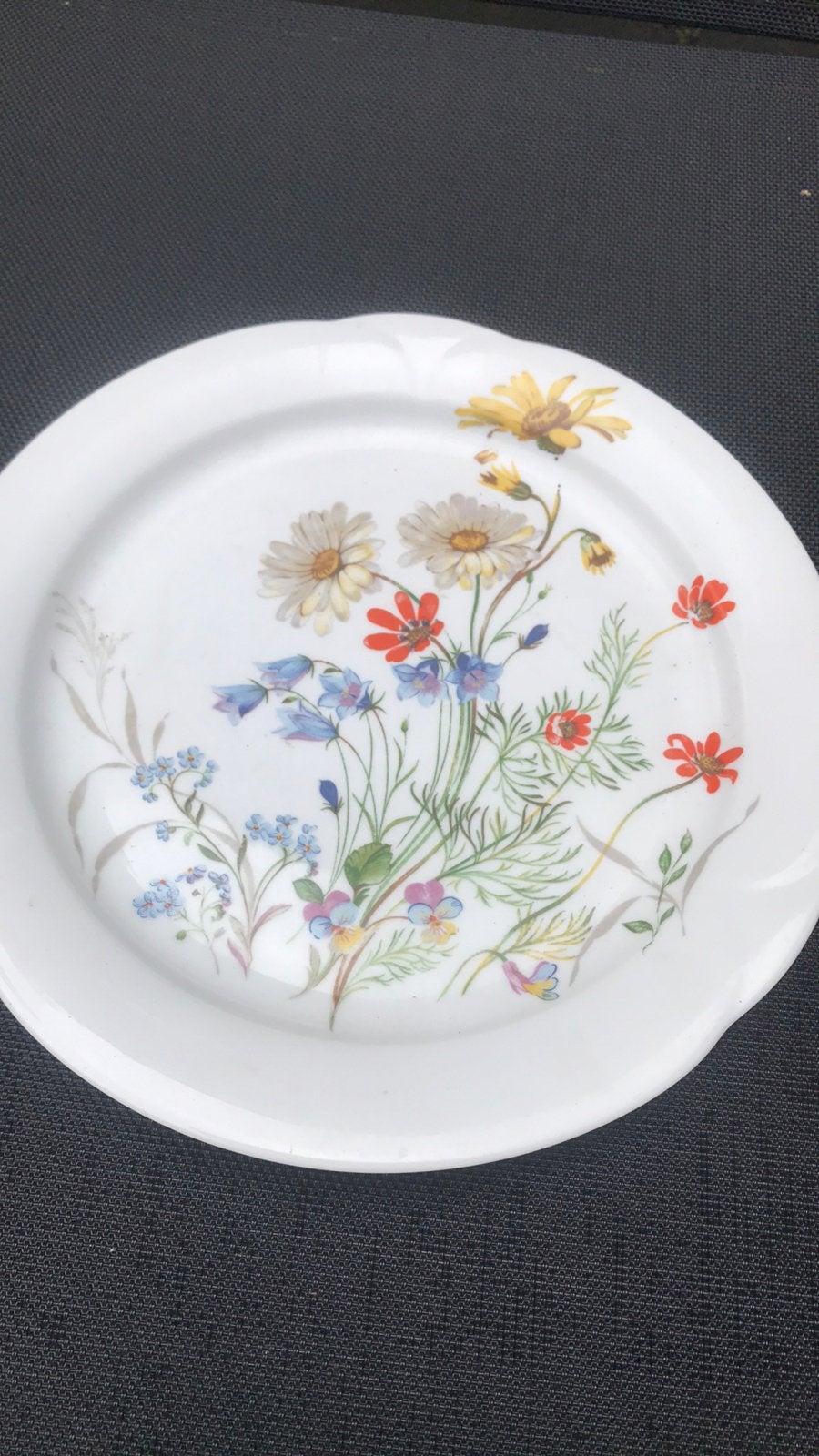 Arzberg bord met wilde bloemen, Huis en Inrichting, Ophalen of Verzenden, Zo goed als nieuw, Bord(en), Overige stijlen