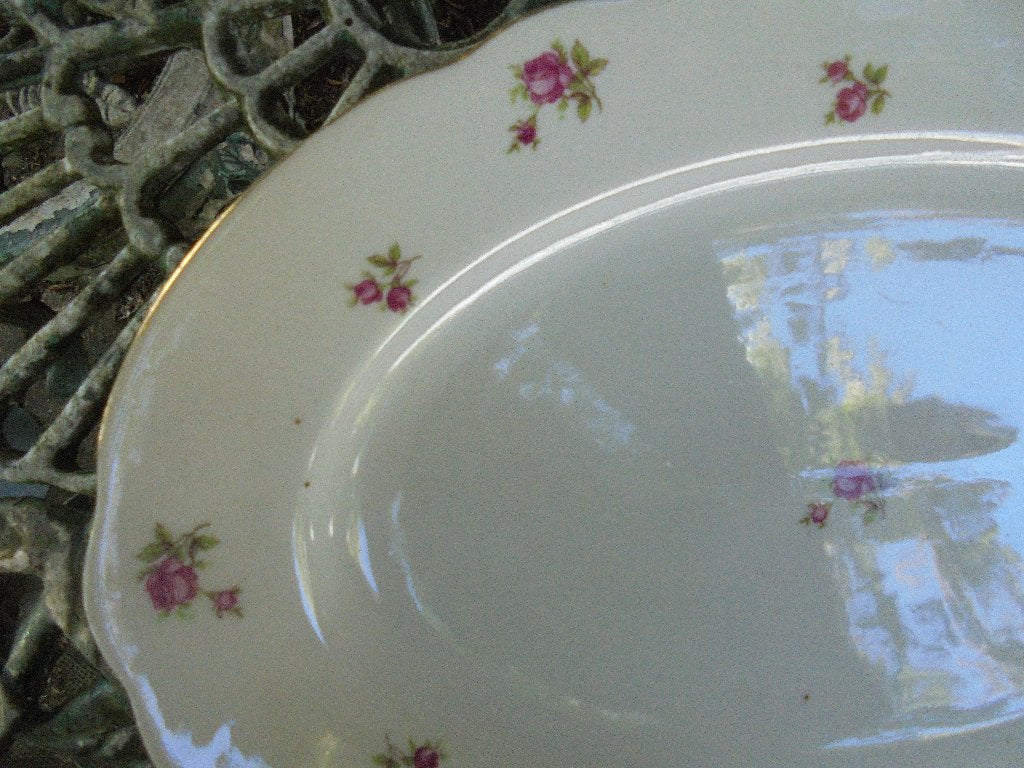 Ovale Vleesschaal Mitterteich Bavaria met roze roosjes, Antiek en Kunst, Ophalen of Verzenden