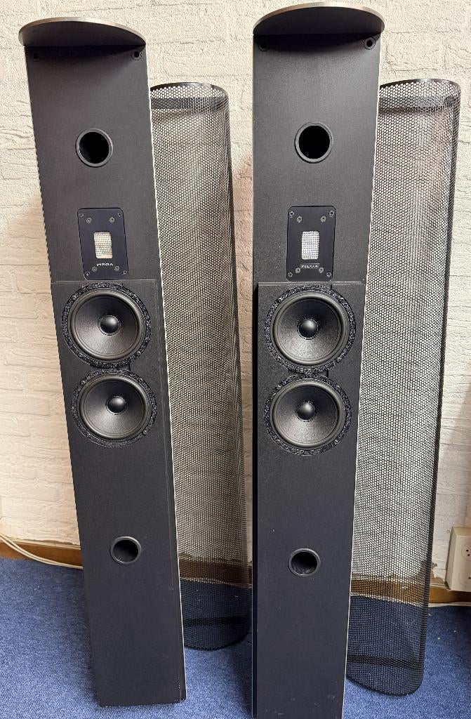 Piega LDR 42, Audio, Tv en Foto, Luidsprekers, Gebruikt, 60 tot 120 watt, Front, Rear of Stereo speakers, Ophalen