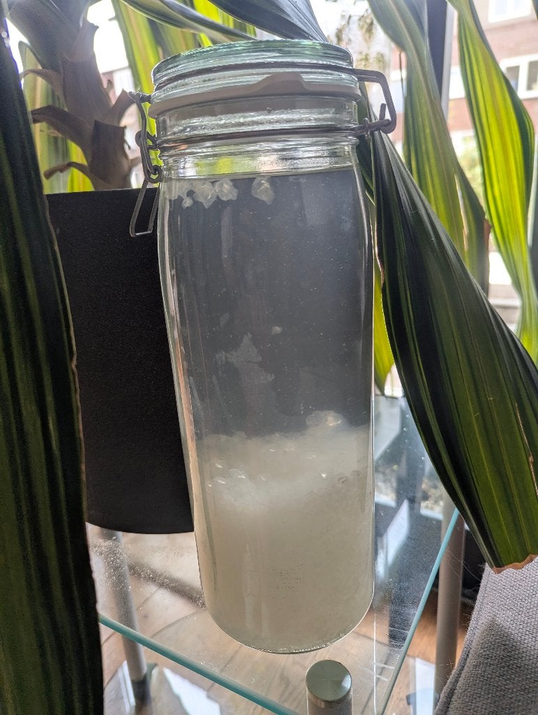 Water Kefir, Ophalen