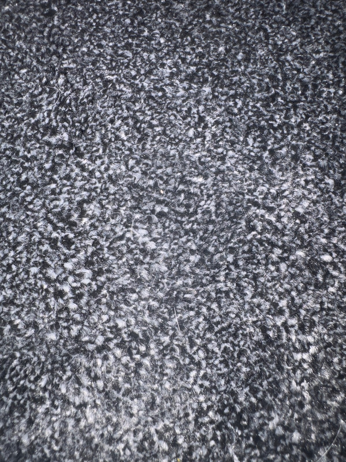 Vloerbedekking Romeo Tapijt - Zwart/Grijs, Ophalen, Zwart, 200 cm of meer, Rechthoekig