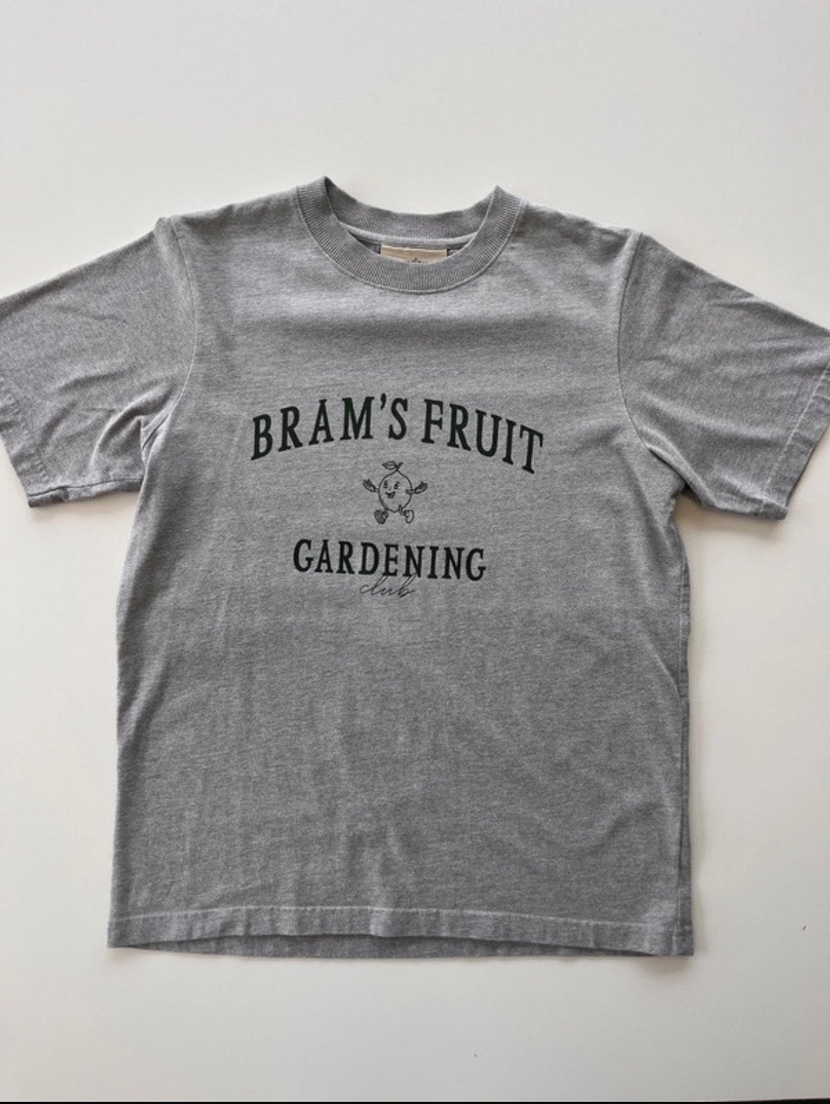 Bram's Fruit Gardening Club T-shirt - Grijs, Kleding | Heren, T-shirts, Verzenden, Zo goed als nieuw, Maat 48/50 (M), Grijs