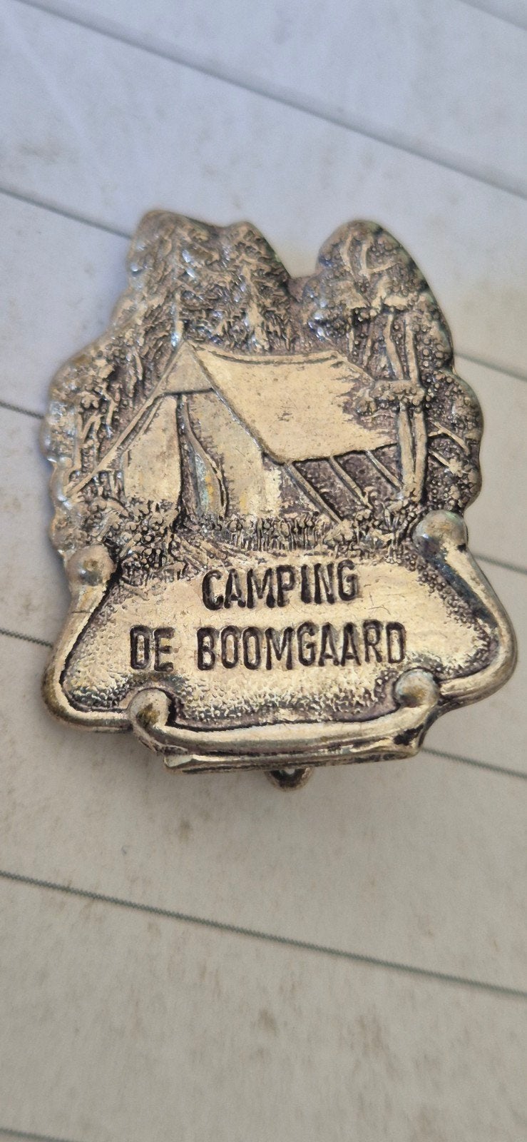 broches van Camping de Boomgaard, Ophalen of Verzenden, Overige onderwerpen