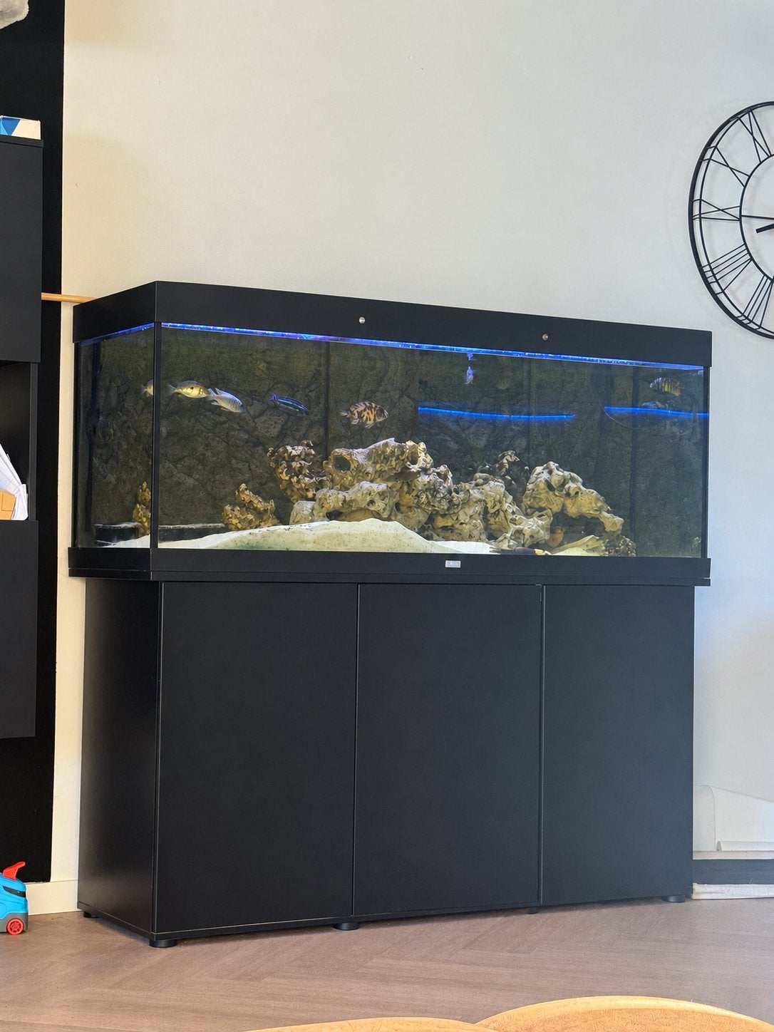 Juwel 450 aquarium met bijbehorende kast, Dieren en Toebehoren, Juwel, Ophalen, Inclusief deksel, Gevuld zoetwateraquarium
