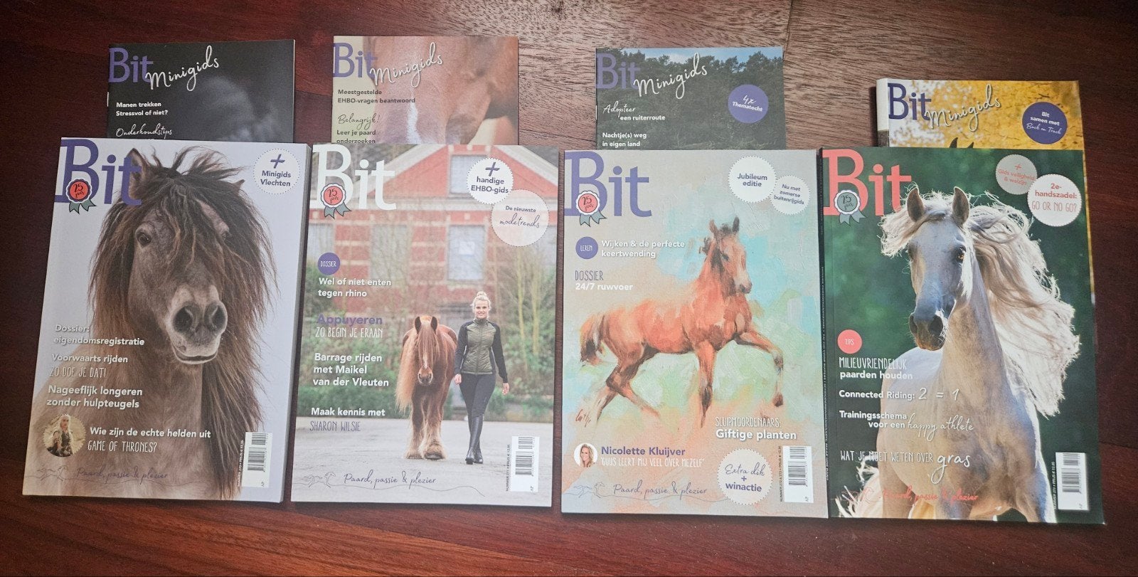 Bit Magazine Jaargang 2020 - Complete Set, Ophalen of Verzenden, Zo goed als nieuw, Overige typen
