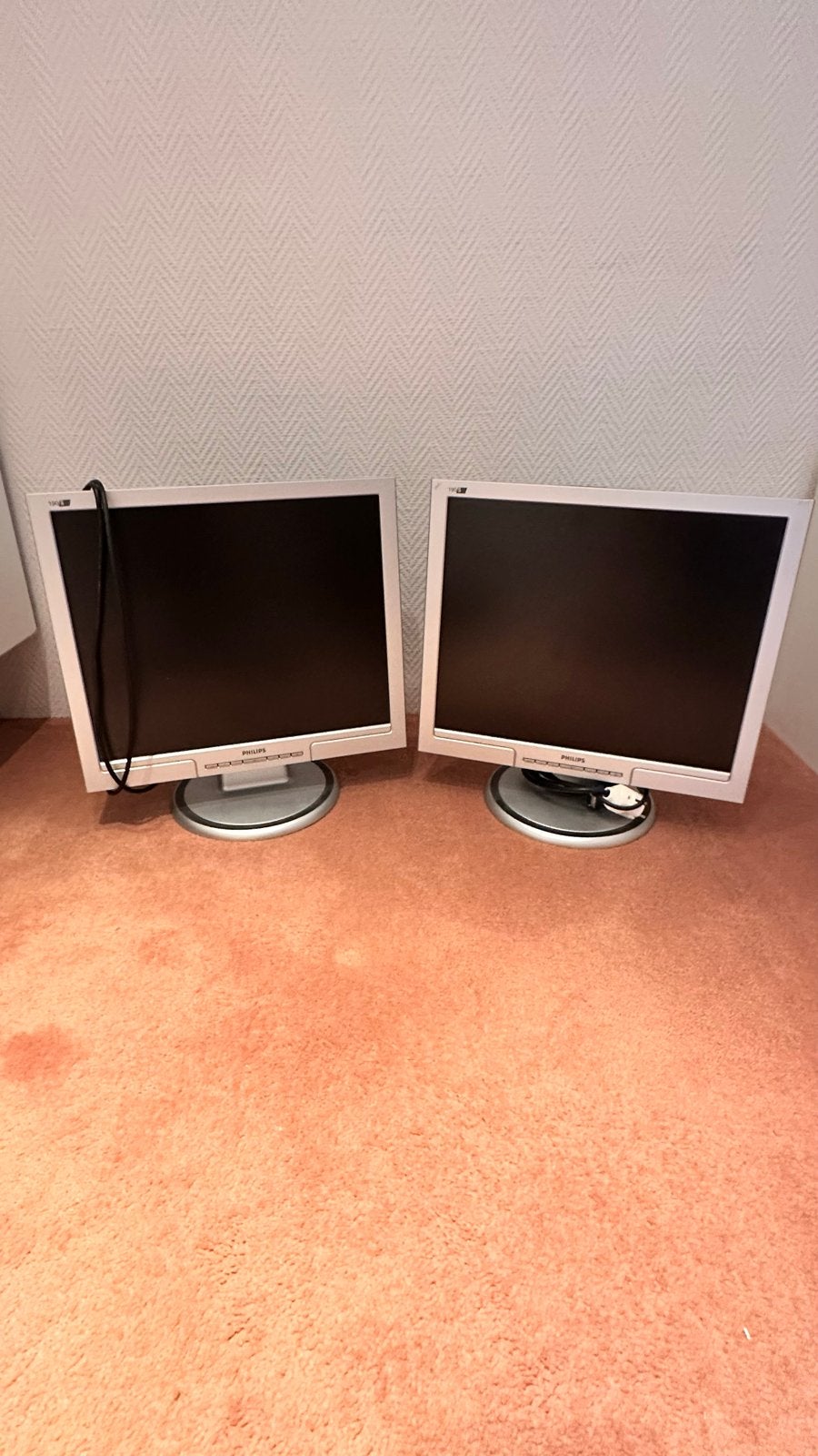 Philips 190S7FS/00 Monitor - 19 inch 2 stuks, Computers en Software, Monitoren, Gebruikt, Kantelbaar, Ophalen of Verzenden, Overige typen