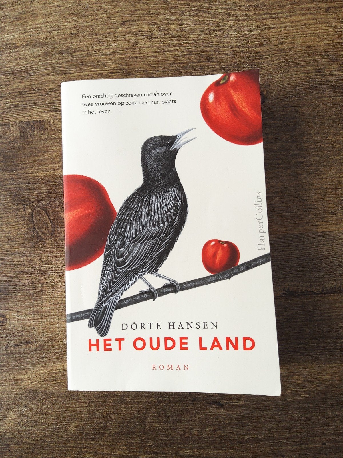 Dörte Hansen - Het oude land, Ophalen of Verzenden, Zo goed als nieuw, Dörte Hansen