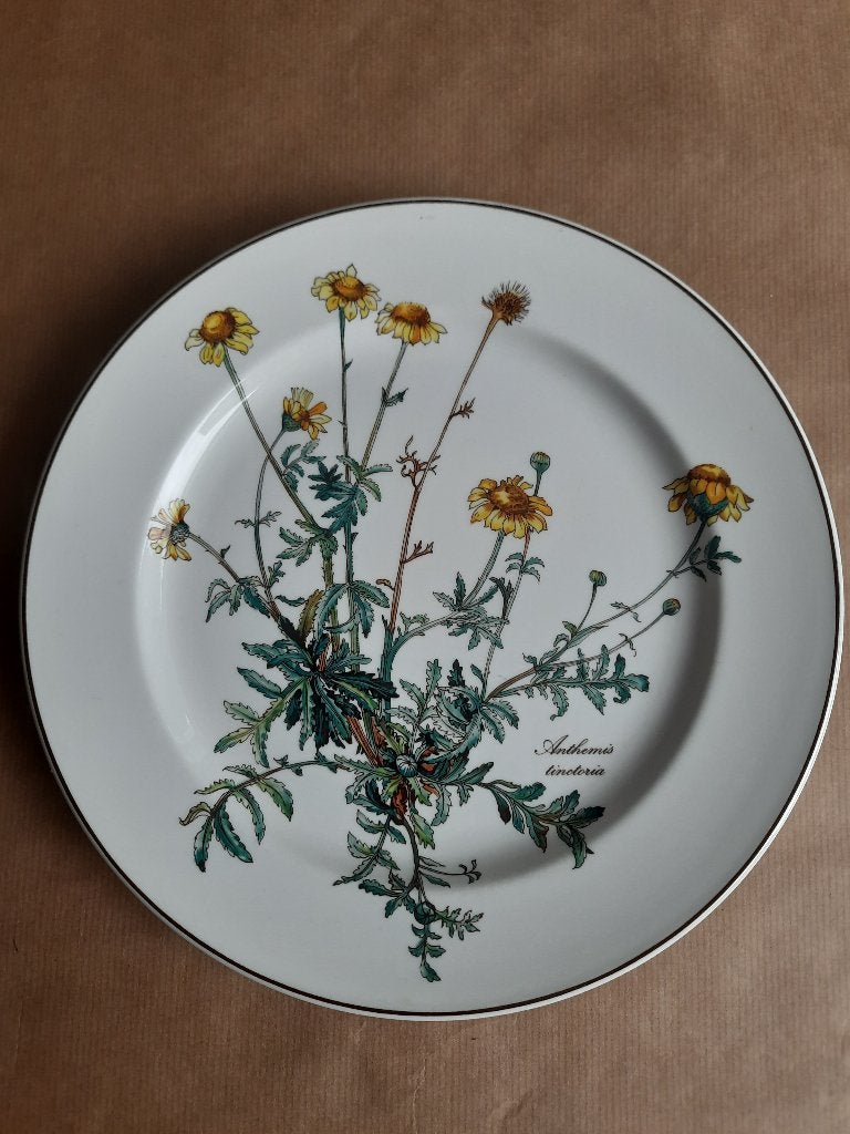 Villeroy & Hoch Botanica dinerbord 24cm Anthemis tinctoria, Ophalen, Villeroy & Boch, Zo goed als nieuw, Bord(en)