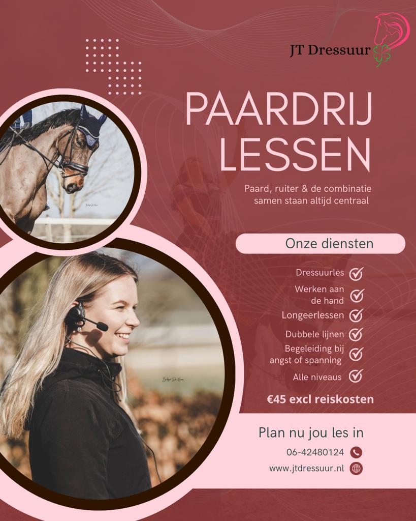 Paardrijlessen voor angstige, gespannen en onzekere ruiters, Ophalen, Zo goed als nieuw, Dressuur