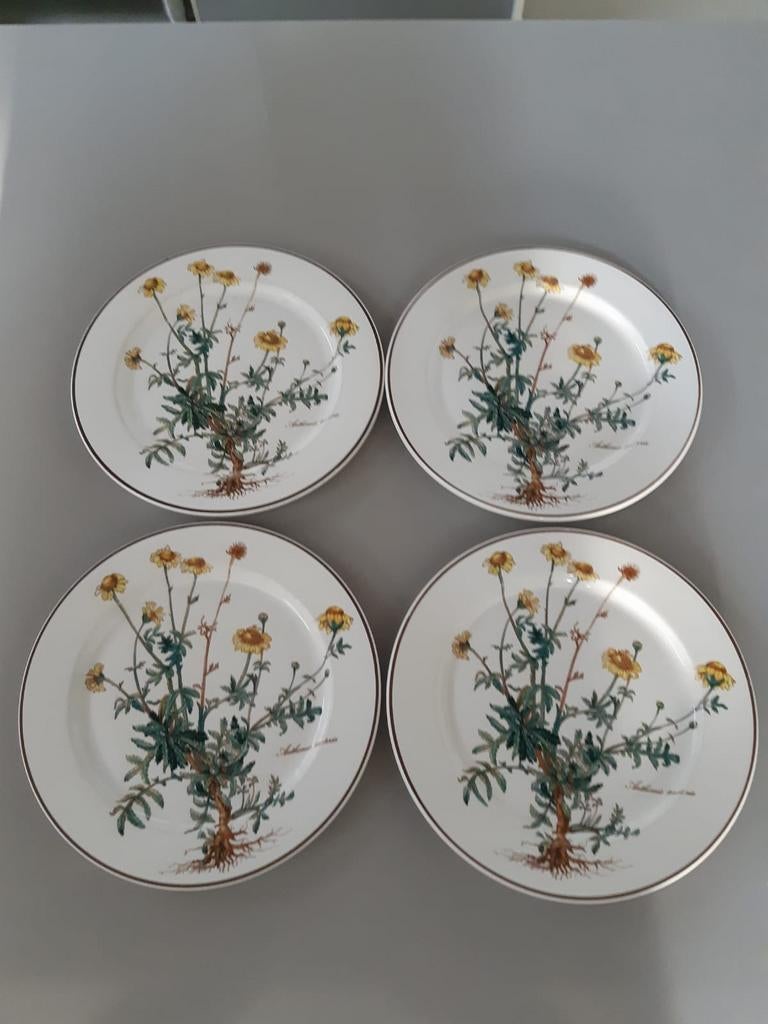 Dinerborden 24 cm Villeroy en Boch Botanica, 12 beschikbaar, Ophalen of Verzenden, Zo goed als nieuw, Bord(en), Overige stijlen