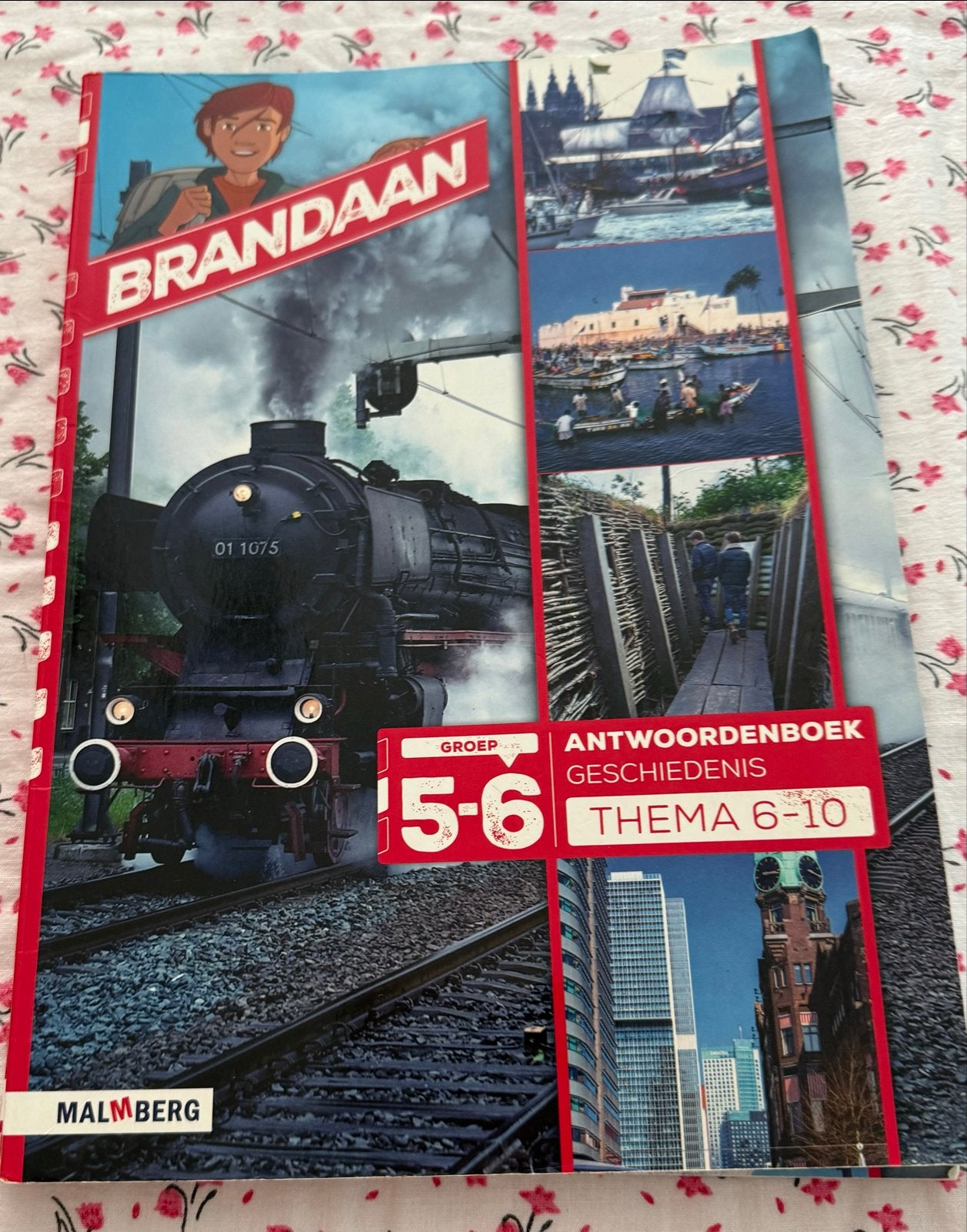 Brandaan Antwoordenboek Geschiedenis Groep 5-6 Thema 1-10, Ophalen of Verzenden, Zo goed als nieuw, Overige niveaus, Geschiedenis