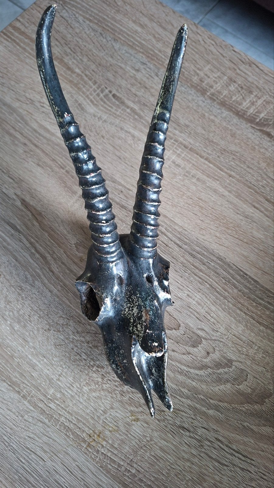 Decoratieve Skull Springbok met mooi geribbelde hoorn's!, Huis en Inrichting, Ophalen, Zo goed als nieuw
