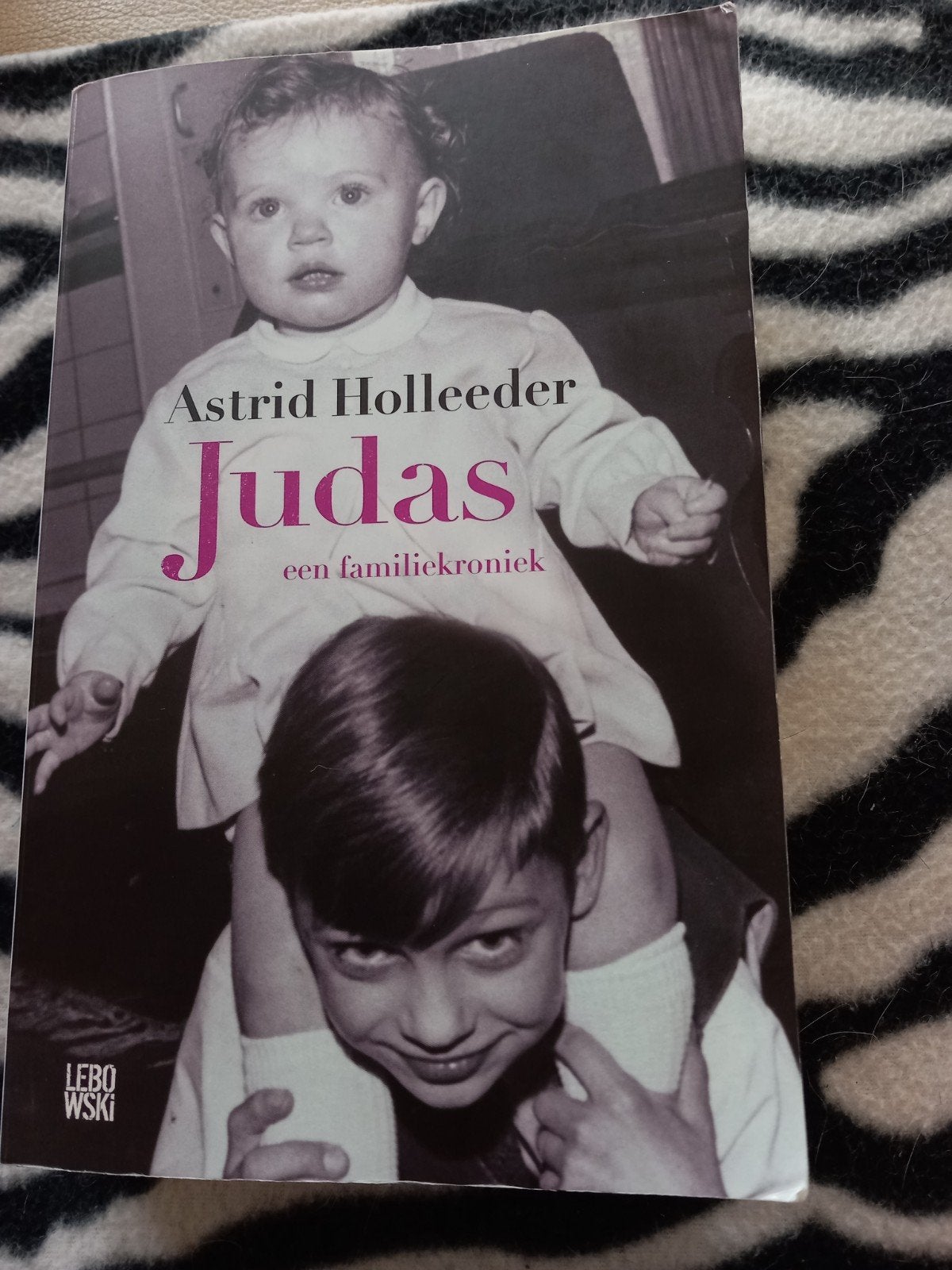 Boek Judas - Astrid Holleeder (Familiekroniek), Ophalen of Verzenden, Zo goed als nieuw, Astrid Holleeder