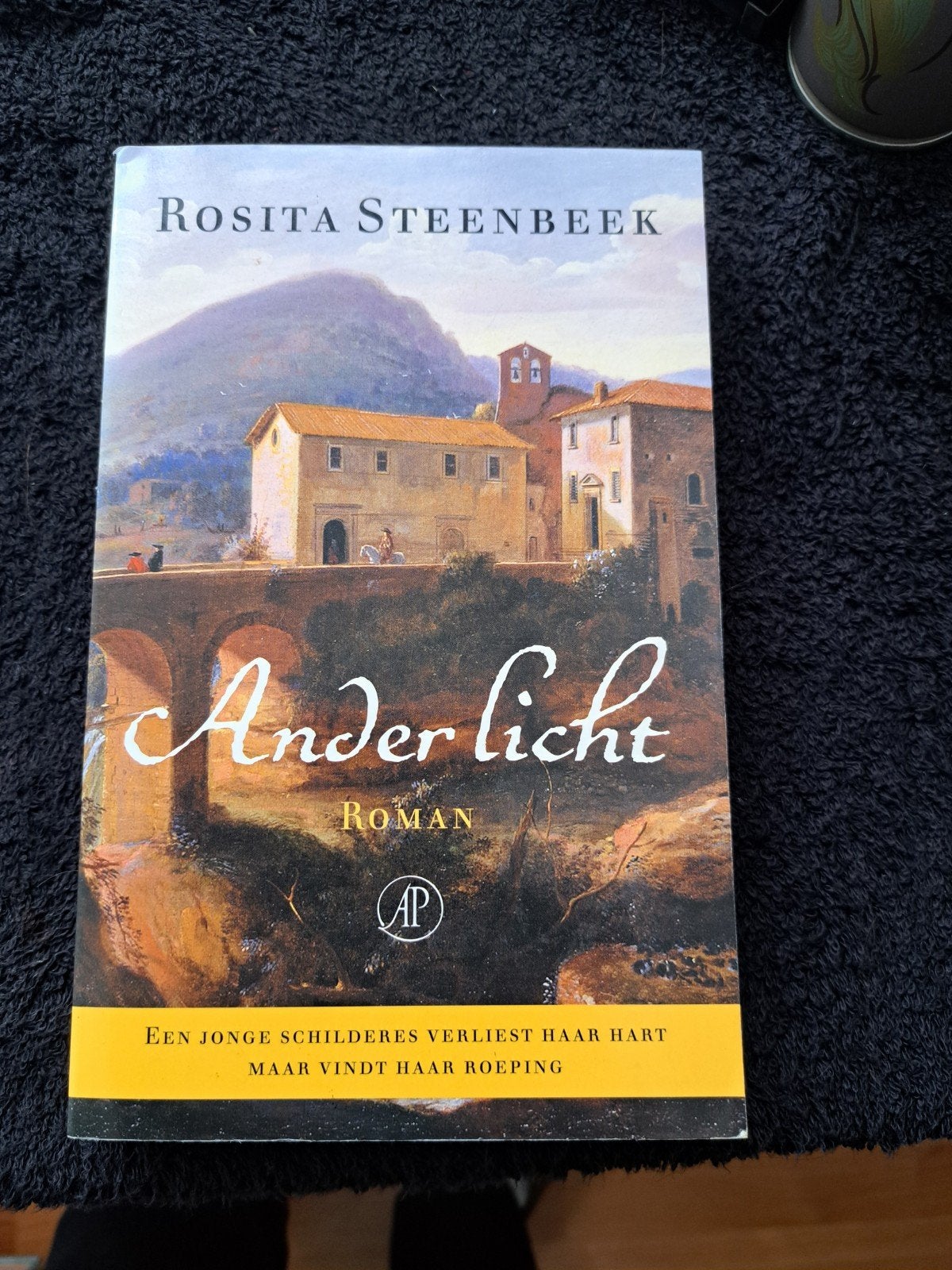 Ander licht - Rosita Steenbeek (Roman), Ophalen of Verzenden, Nieuw, Rosita Steenbeek, Nederland