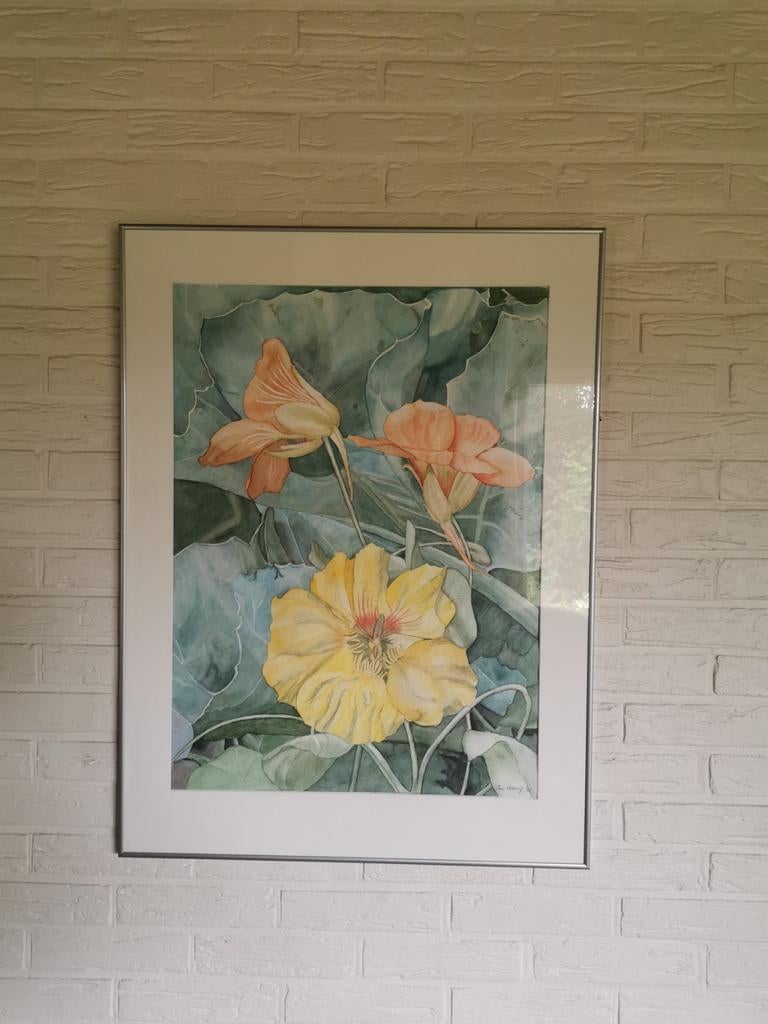 Ingelijste aquarel van Oost-Indische kers - Jos Verwey '97, Antiek en Kunst, Kunst | Schilderijen | Klassiek, Ophalen