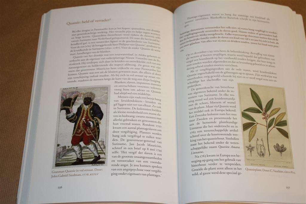 De slavernij. Mensenhandel van de koloniale tijd tot nu., Ophalen of Verzenden, Zo goed als nieuw, Europa