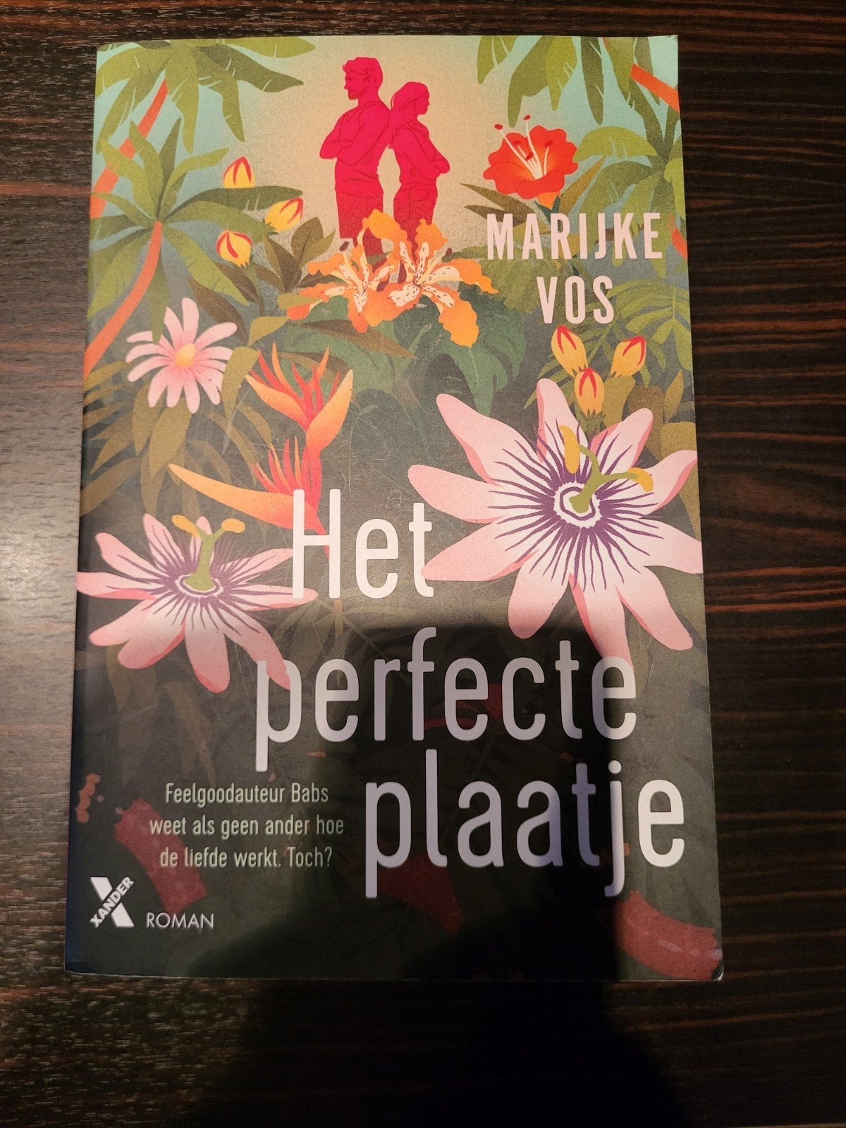 Marijke Vos - Het perfecte plaatje, Ophalen of Verzenden, Zo goed als nieuw, Marijke Vos