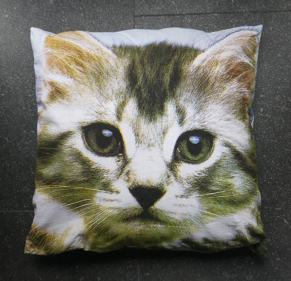 Kussen poes kitten fotoprint sierkussen jong katje, Ophalen of Verzenden, Zo goed als nieuw, Vierkant, Sierkussen