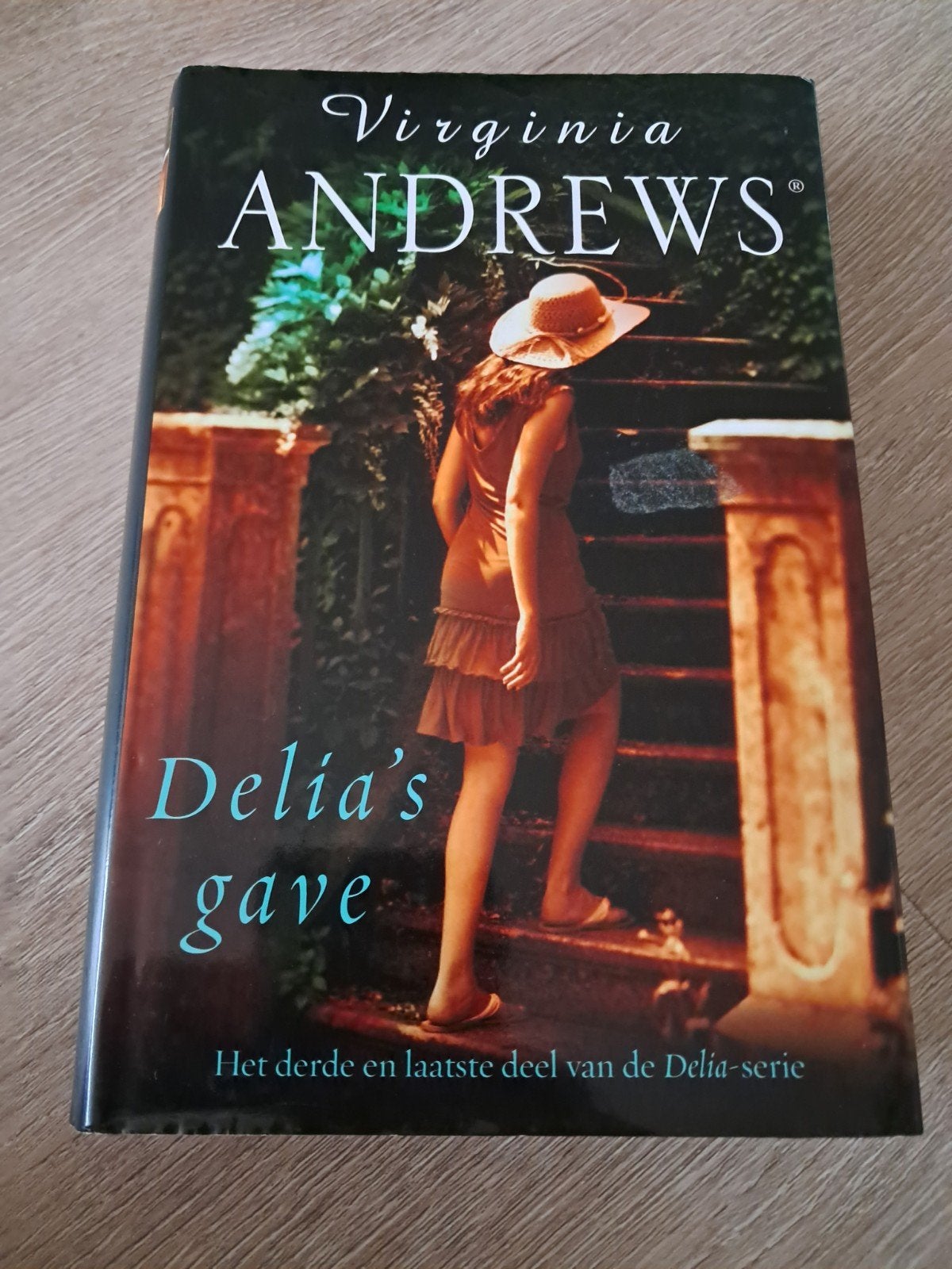 Virginia Andrews - Delia's Gave (Delia-serie deel 3), Ophalen of Verzenden, Gelezen, Virginia Andrews, Nederland