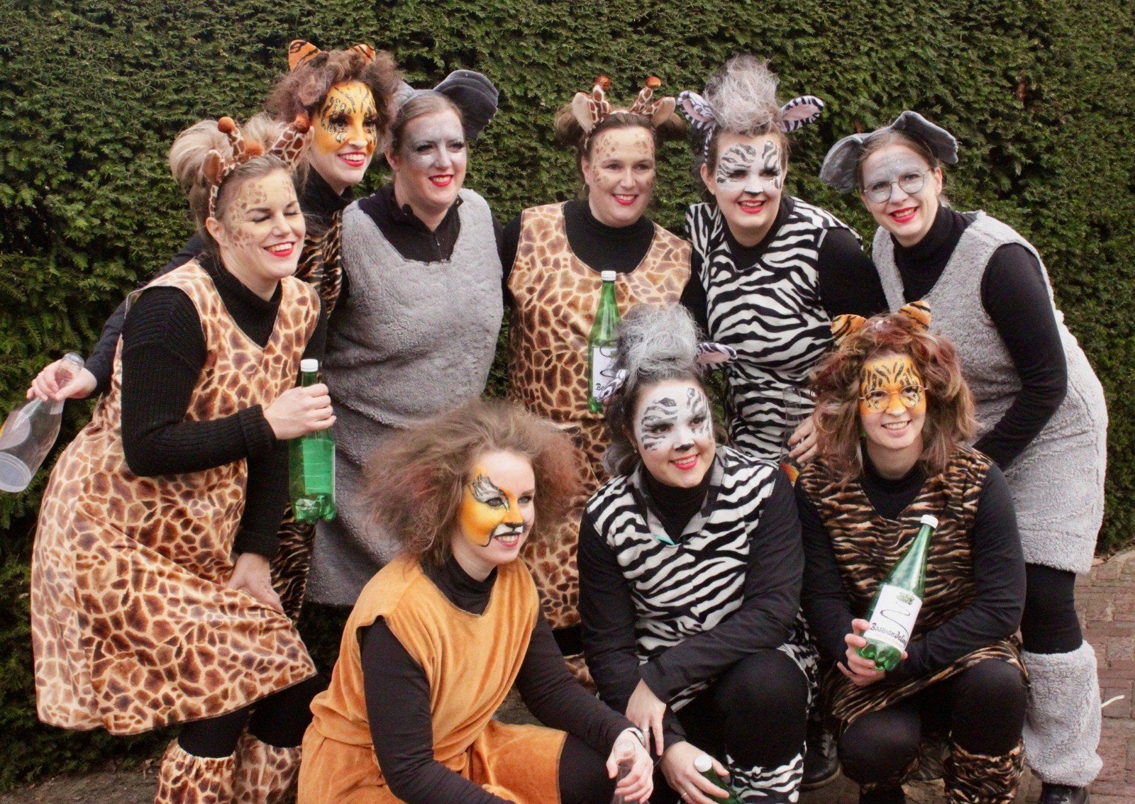 10x Dieren jurkjes voor volwassenen - Carnaval/ loopgroep, Kleding | Dames, Carnavalskleding en Feestkleding, Maat 38/40 (M), Carnaval
