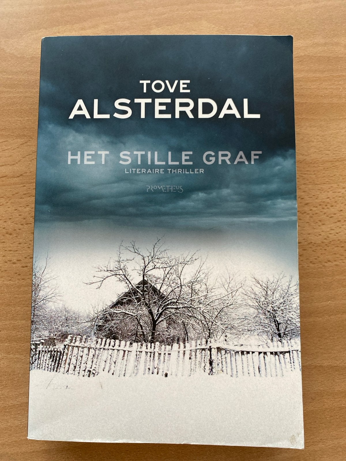 Het Stille Graf - Tove Alsterdal (Literaire Thriller), Ophalen of Verzenden, Zo goed als nieuw, Scandinavië