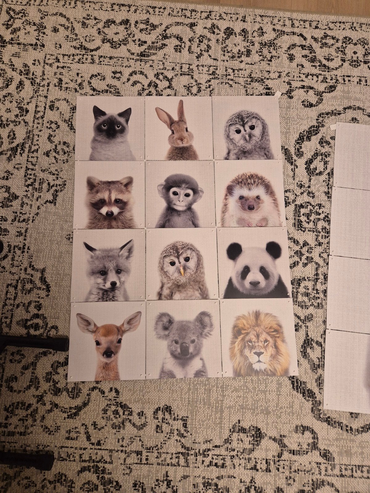 IXIX Collage Dieren 60x80 cm - Dubbelzijdig Bedrukt, Meerkleurig, Ophalen of Verzenden, Zo goed als nieuw, Modern