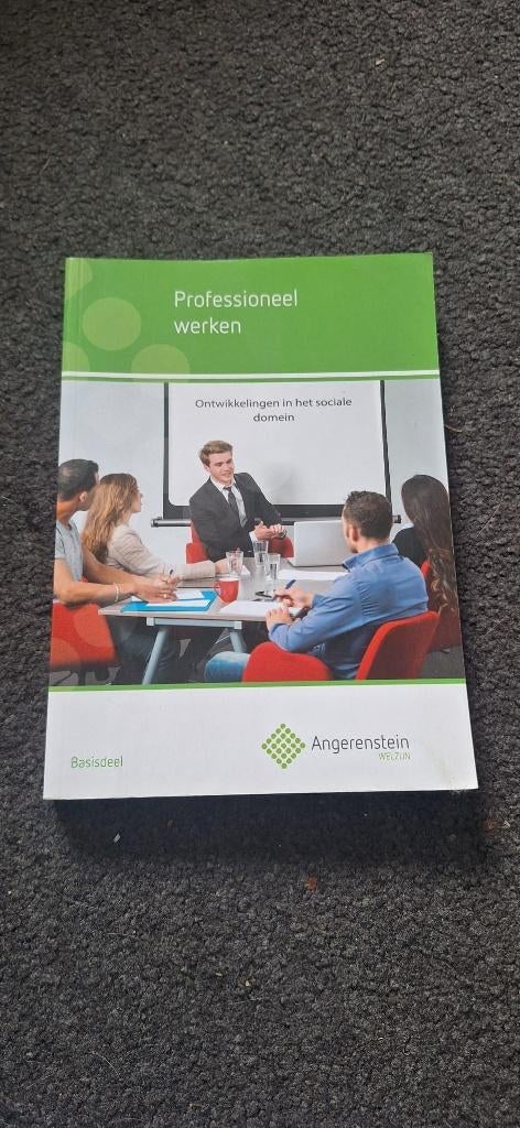 Professioneel werken – Angerenstein studieboek, Gelezen, Overige vakken, Ophalen of Verzenden, Angerenstein