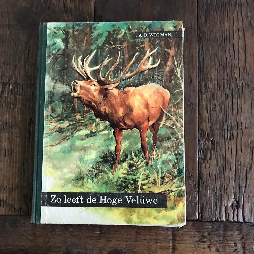 Zo leeft de Hoge Veluwe - A.B. Wigman (Natuurboek), Ophalen of Verzenden, Gelezen, Natuur algemeen