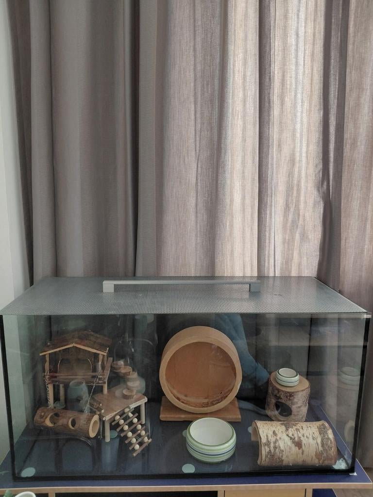 Terrarium, Dieren en Toebehoren, Ophalen, 75 tot 110 cm, Hok, Minder dan 60 cm