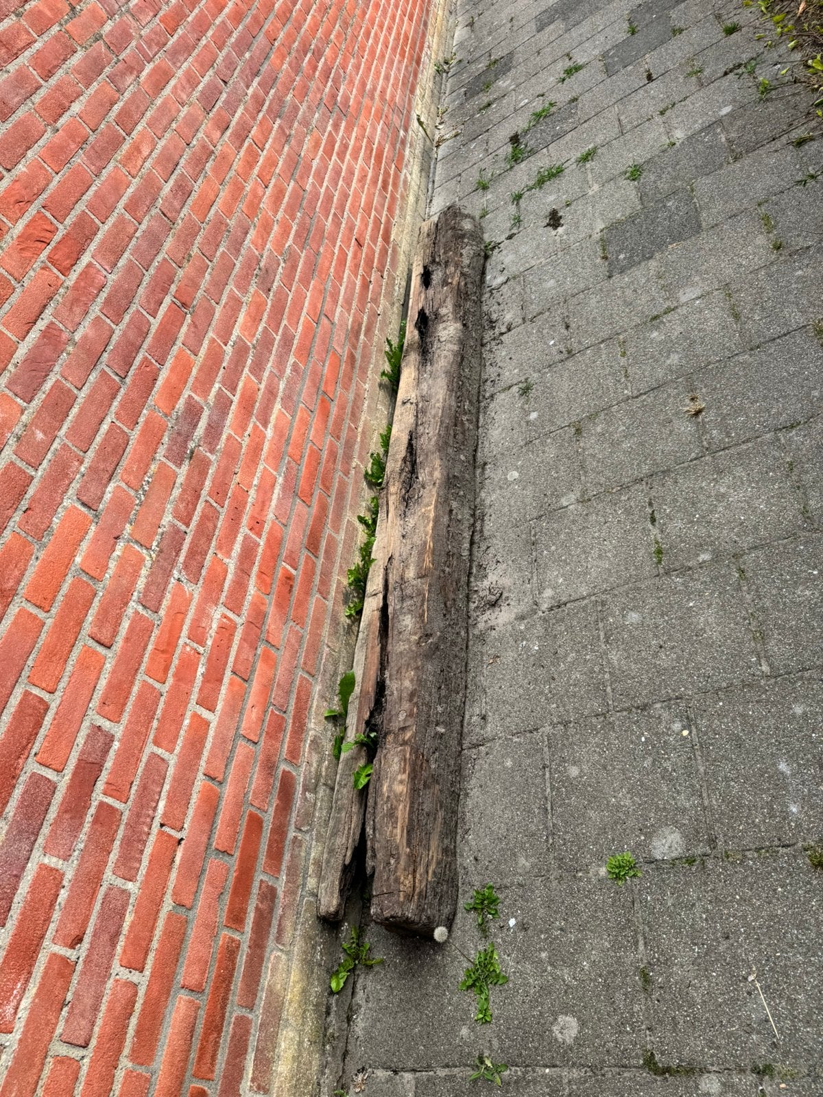 4 spoorbielzen perfect voor in de tuin, Tuin en Terras, Ophalen, Gebruikt, Hout