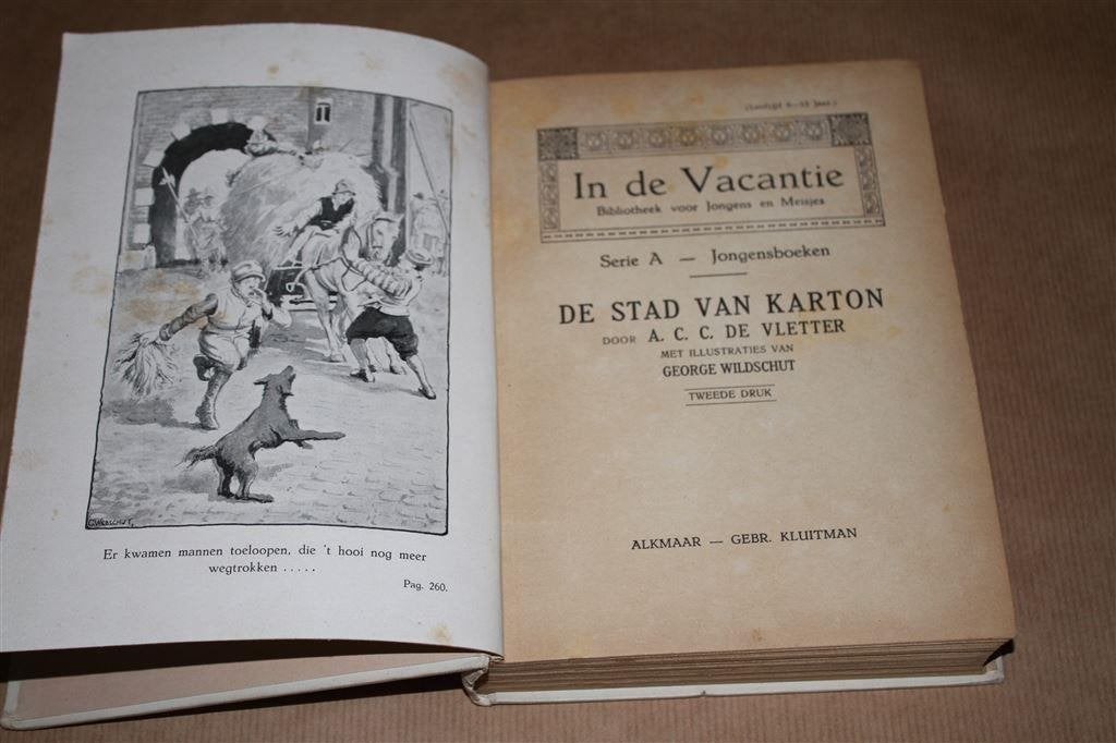 De stad van karton. Vletter. Kluitman., Boeken, Ophalen of Verzenden, Gelezen