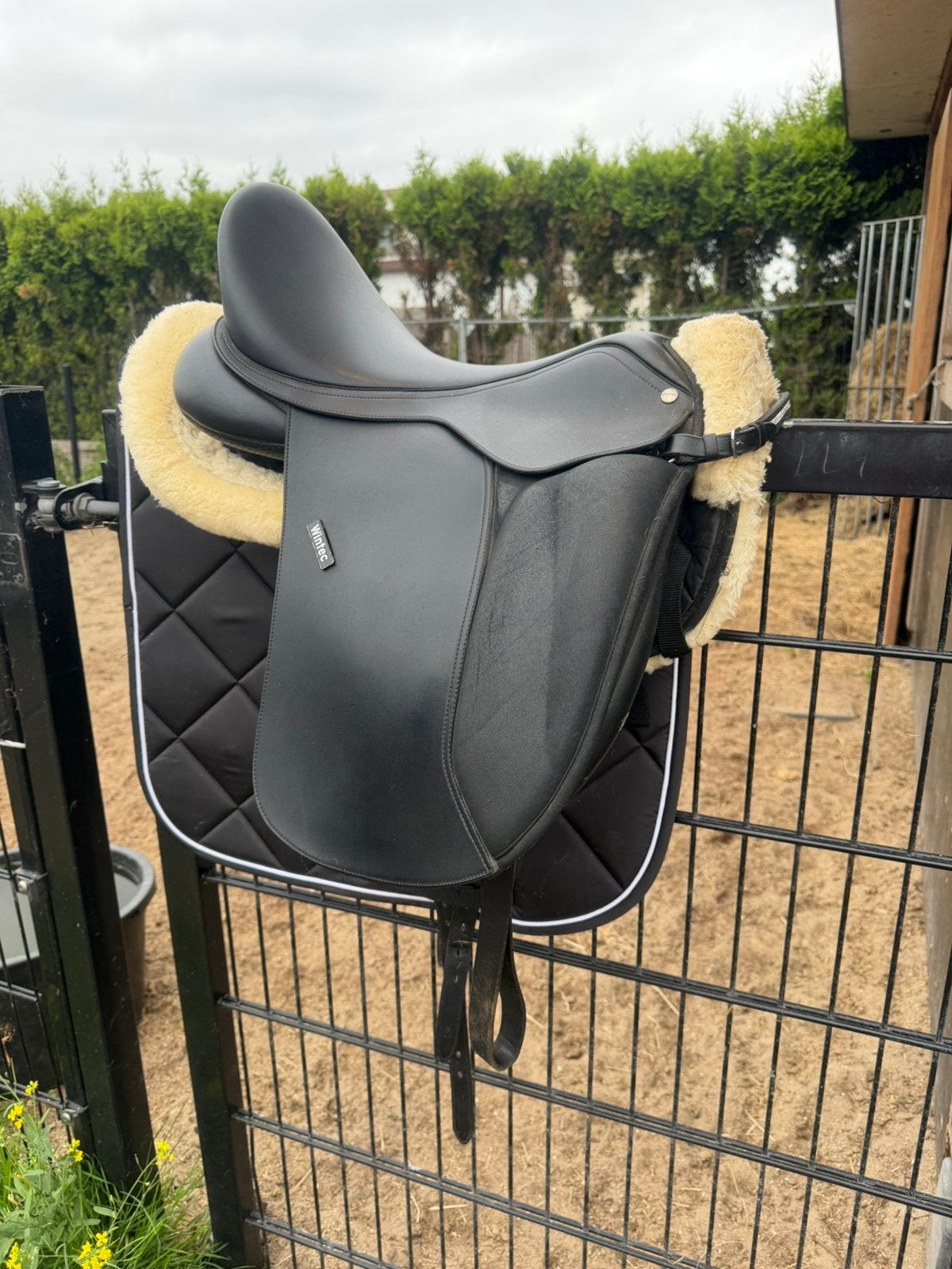Wintec cair 17,5 inch, Ophalen, Zo goed als nieuw, Dressuur