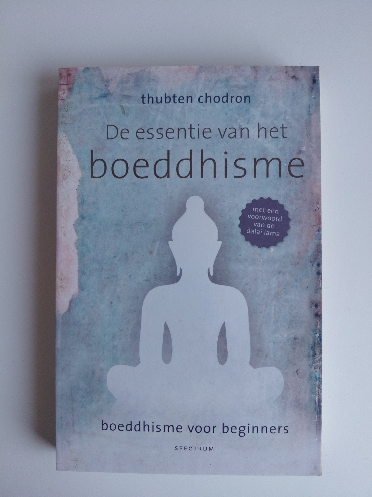 De essentie van het boeddhisme - Thubten Chodron, Thubten Chodron, Achtergrond en Informatie, Spiritualiteit algemeen, Ophalen of Verzenden